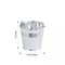 12 SILVER 2" Mini Pail Bucket Planter Wedding Party Favor GIFT HOLDERS